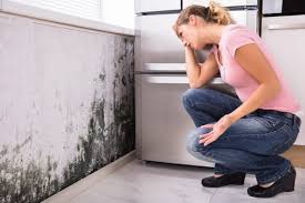 Best Residential Mold Inspection & Testing  in Frewsburg, NY